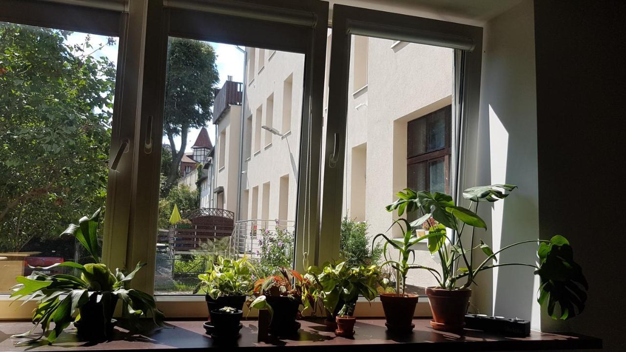 Spoko Hostel Gdansk Dış mekan fotoğraf